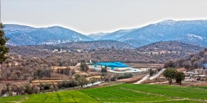 IMG_0165